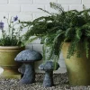 Aged Garden Mushroom*HIDDEN Online