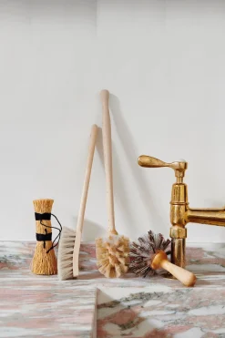Birch Dish Brush*HIDDEN Best