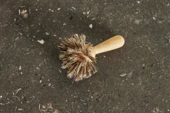 Birch Pan Brush*HIDDEN New