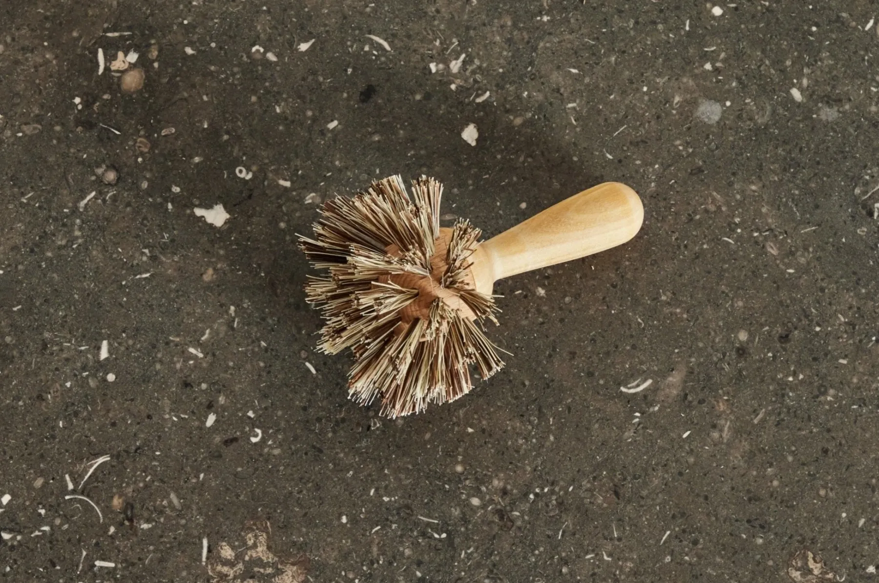 Birch Pan Brush*HIDDEN New