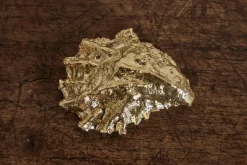 Brass Oyster Shell*UNEARTHEN Clearance