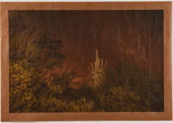 Calliope Hummingbird Song, Saguaro National Park Arizona*JOSLYN LAWRENCE Discount