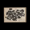 Capucines*PHILIPPE CARON Online