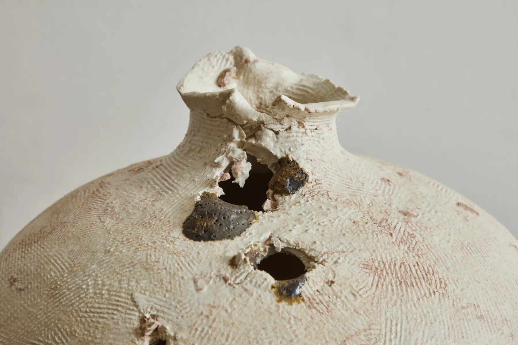 Cinder Bears The Seed*COURTNEY DUNCAN Fashion
