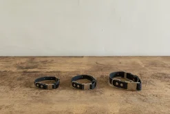 Dog Collar - Black (Multiple Sizes)*NICKEY KEHOE Hot