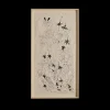 Fuchsias*PHILIPPE CARON New