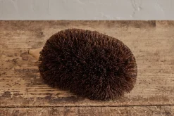 Hedgehog Shoe Cleaner*HIDDEN Best