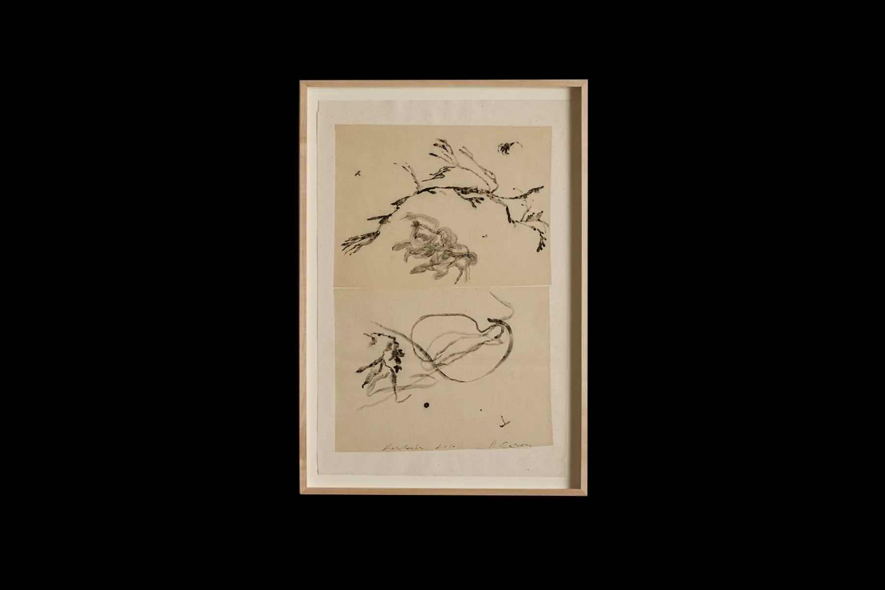 Herbier*PHILIPPE CARON New