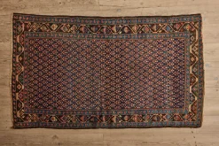Kurdish Rug 4'1 x 7'*VINTAGE Fashion