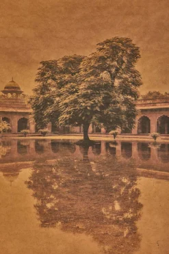 Monsoon Mirror, Agra, India*JOSLYN LAWRENCE Best