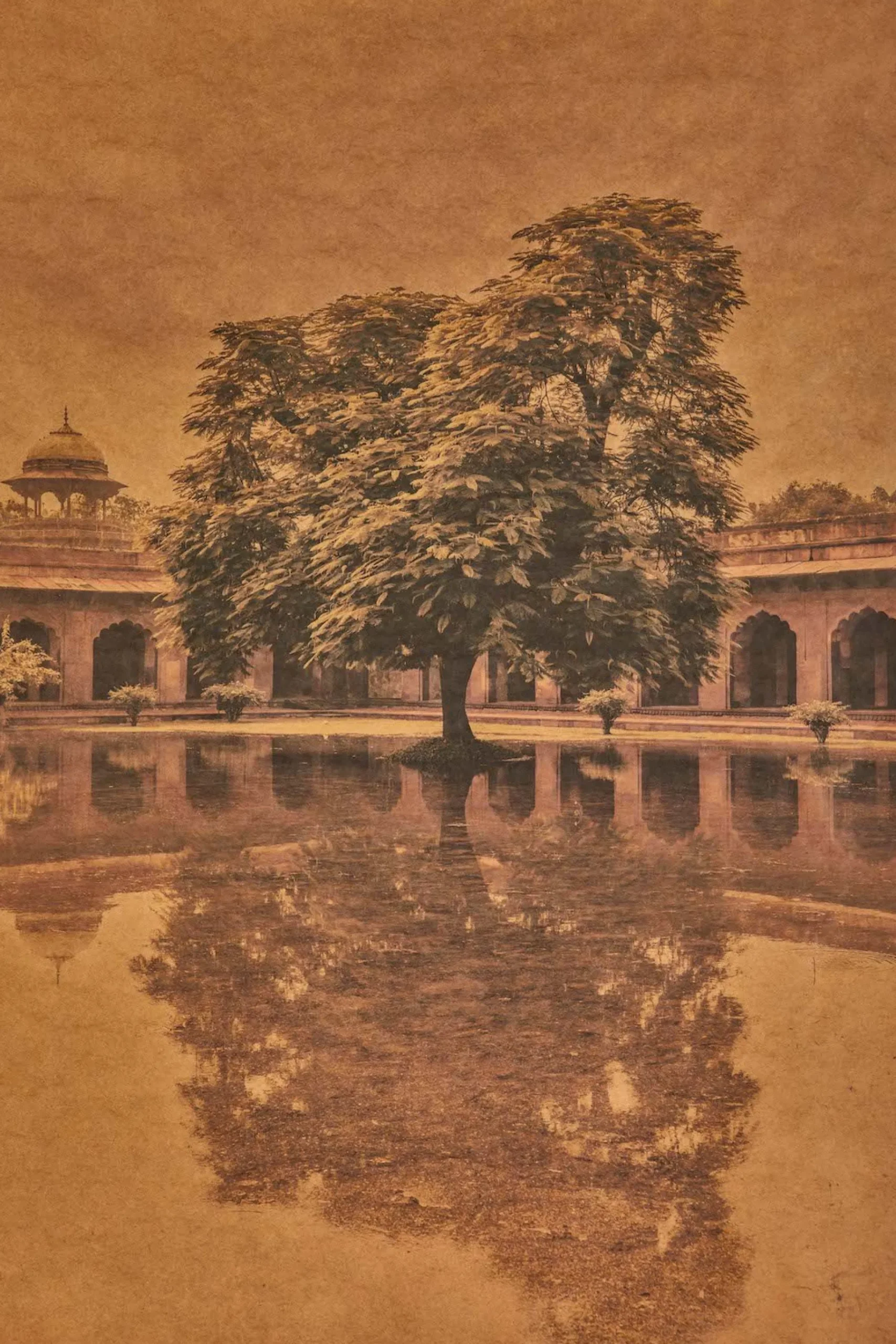 Monsoon Mirror, Agra, India*JOSLYN LAWRENCE Best