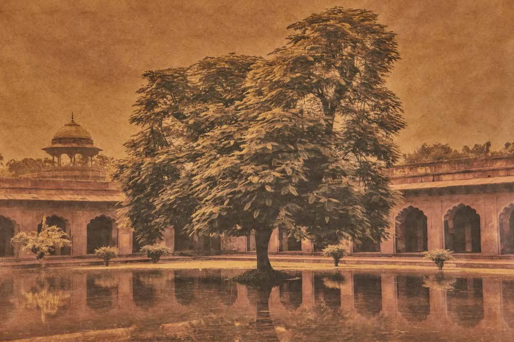 Monsoon Mirror, Agra, India*JOSLYN LAWRENCE Best
