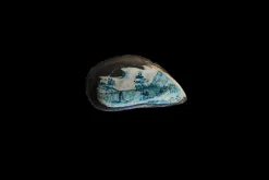 Painted Shell 3*Alyssa Goodman Sale