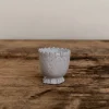 Pangolin Egg Cup*ASTIER DE VILATTE Hot