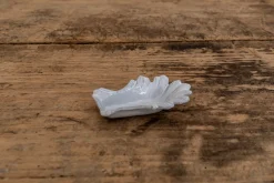 Small Aphrodite Dish*ASTIER DE VILATTE Fashion