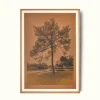 Song for Stars*JOSLYN LAWRENCE Outlet