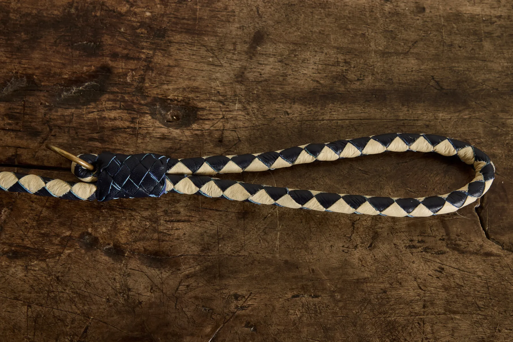 Swanky Lead in Navy*GEORGIE PAWS New