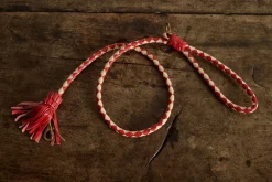 Swanky Lead in Red*GEORGIE PAWS Best