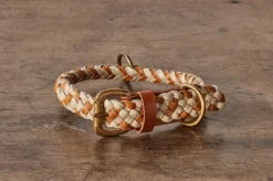 Tonto Collar in Tan & White*GEORGIE PAWS Online