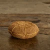 Vetiver Sponge*HIDDEN Best